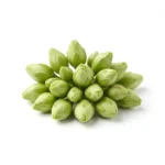 Fresh kachnar buds isolated on white background