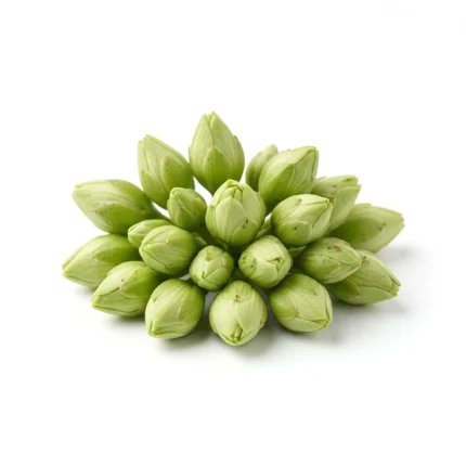 Fresh kachnar buds isolated on white background